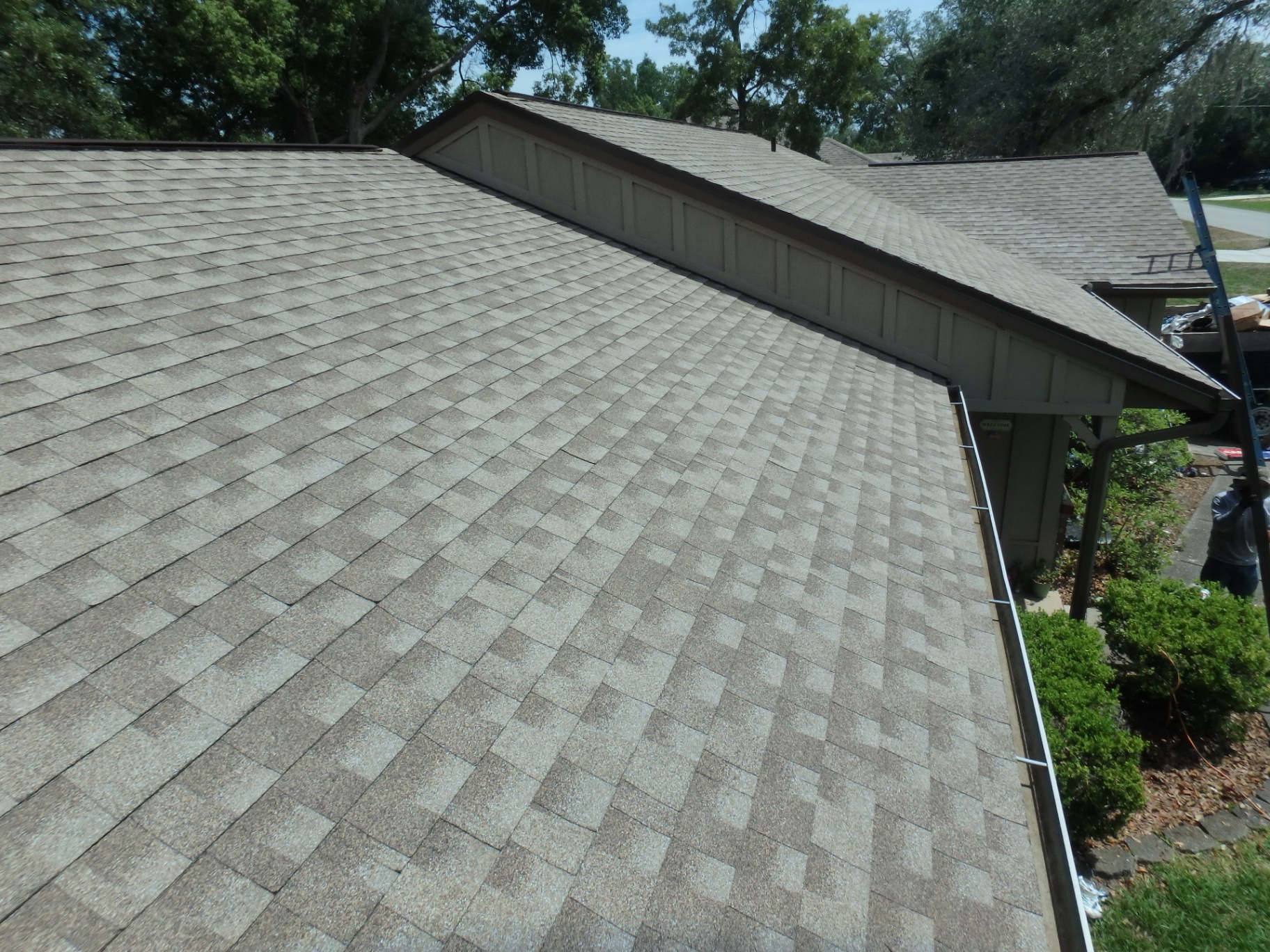 Freshly installed architectural shingle roof on a Tampa Bay home